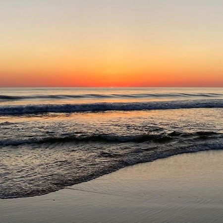 Palm Appart Biscarrosse-Plage Ngoại thất bức ảnh